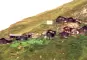 Stefelalpe (Hochalpe)